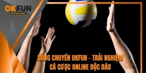 Bóng Chuyền OKFUN